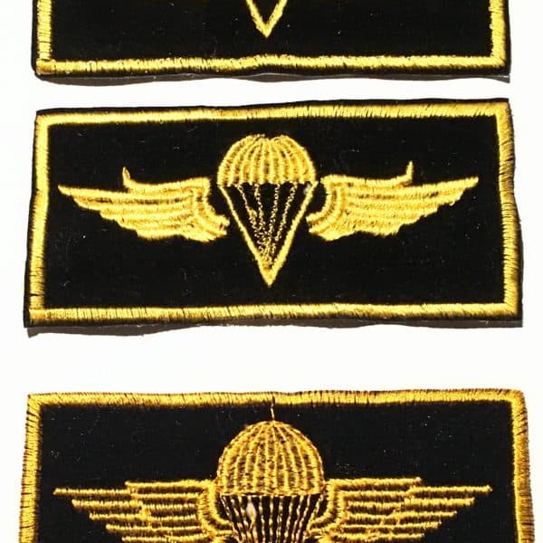 Iraqi Sadaam Fedayeen Jump Wing Three Different