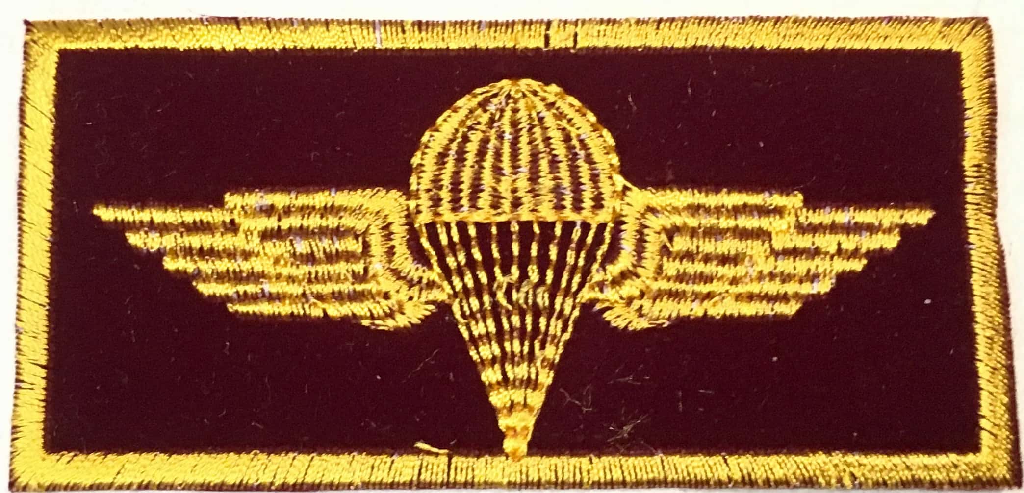 Iraqi Paratrooper Jump Wings Variant
