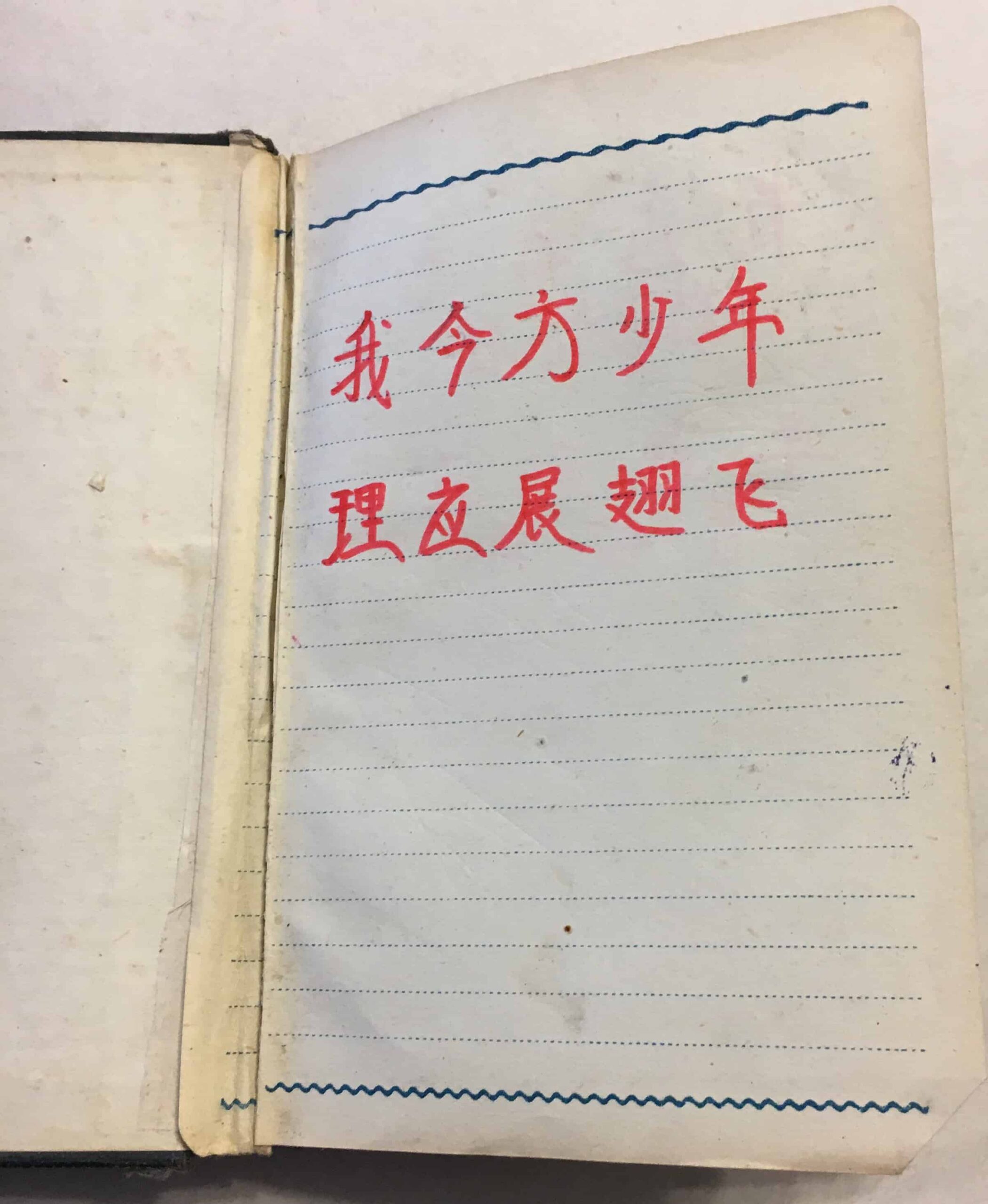 Chinese Korean War Issue Diary with Many Entries Trying to Learn English - Image 15