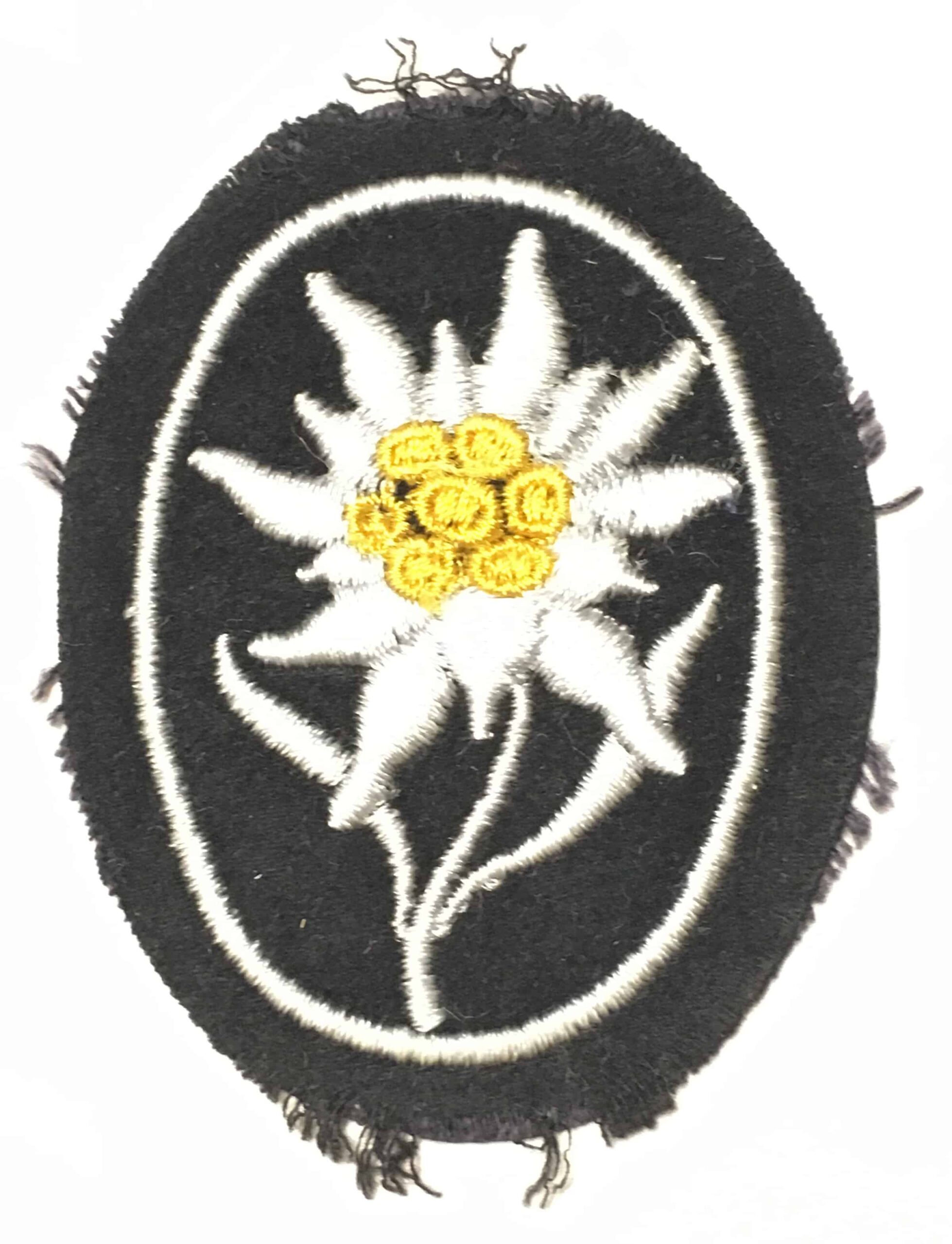 German WW2 SS Mountain Troops Edelweiss