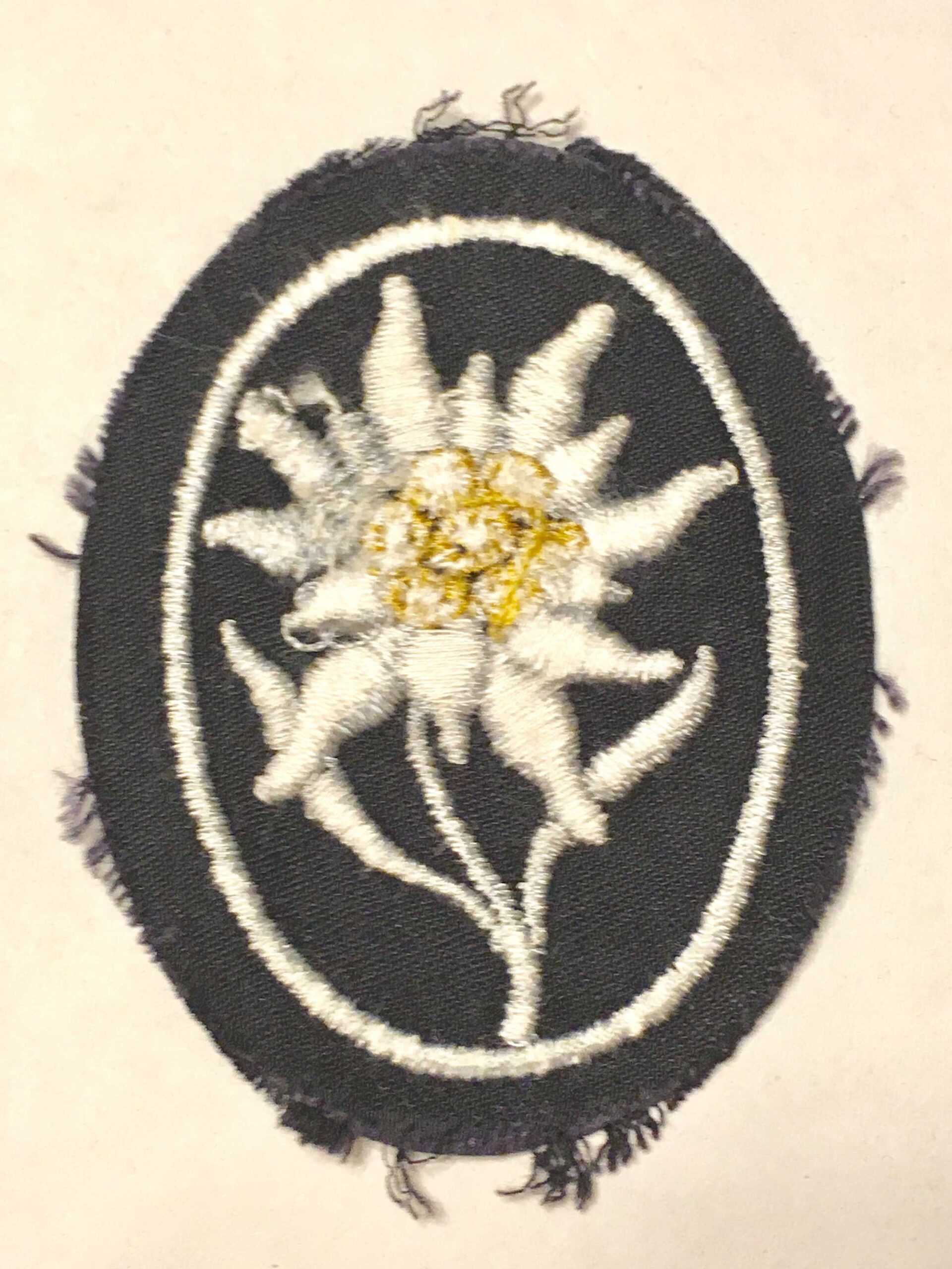 German WW2 SS Mountain Troops Edelweiss - Image 2