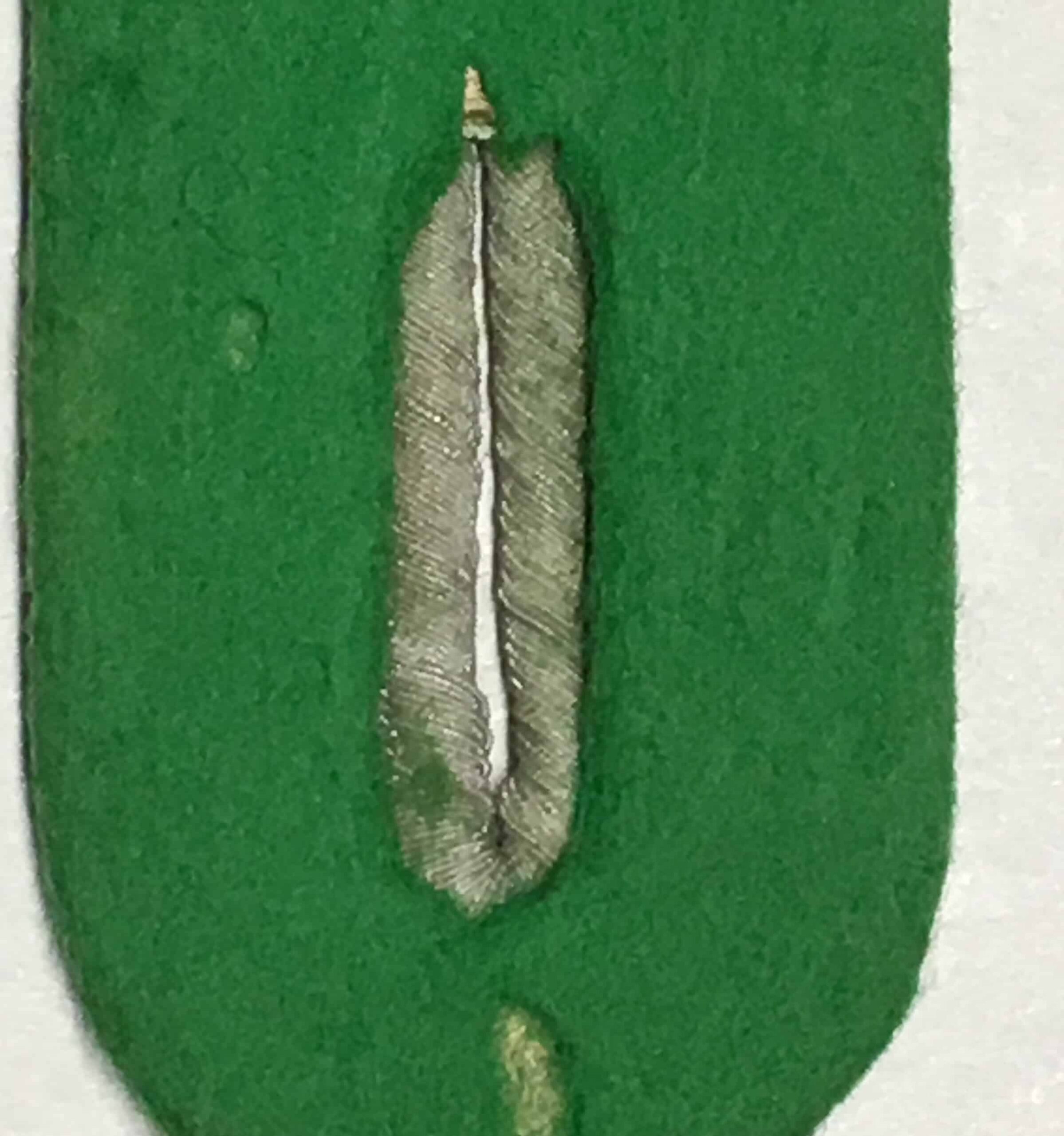 German WW2 Panzer Grenadier Officer Shoulder Board Single - Image 3