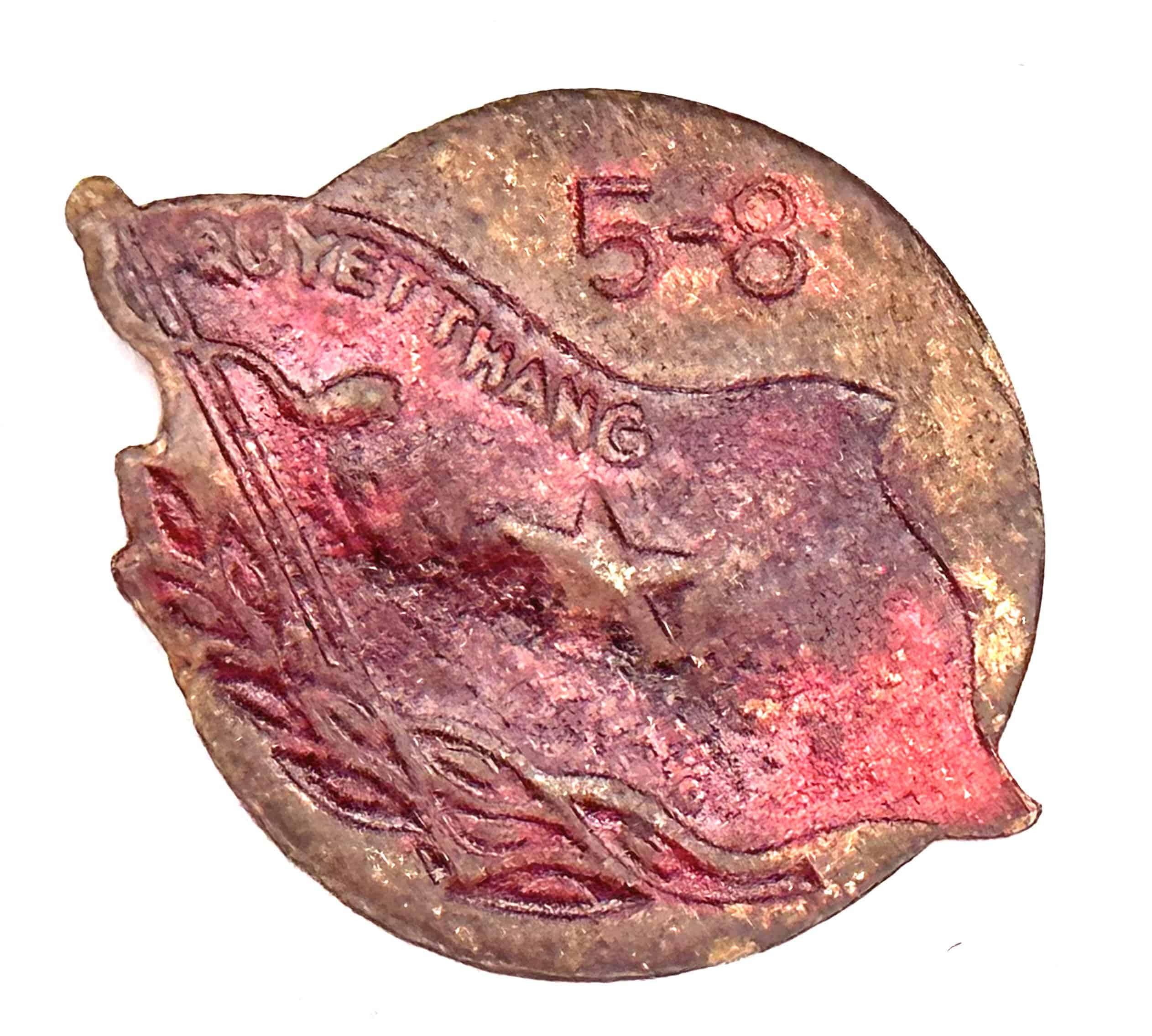 Viet Minh Dien Bien Phu Campaign Badge 5-8