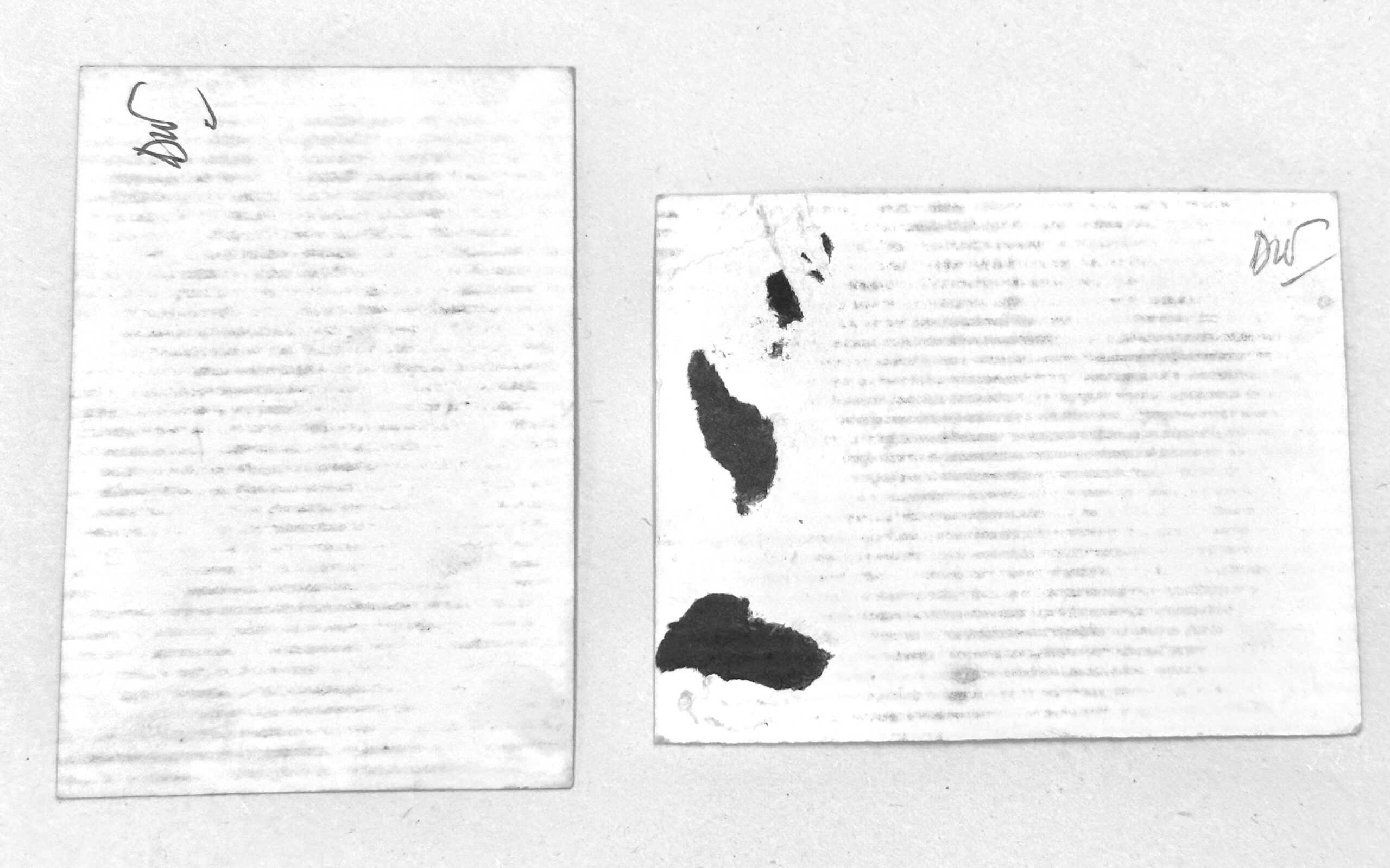 Viet Cong photographs of two sisters lot of two - Image 4