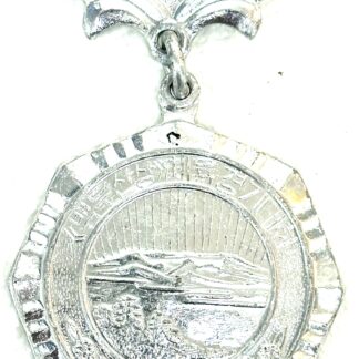 North Korean Medal
