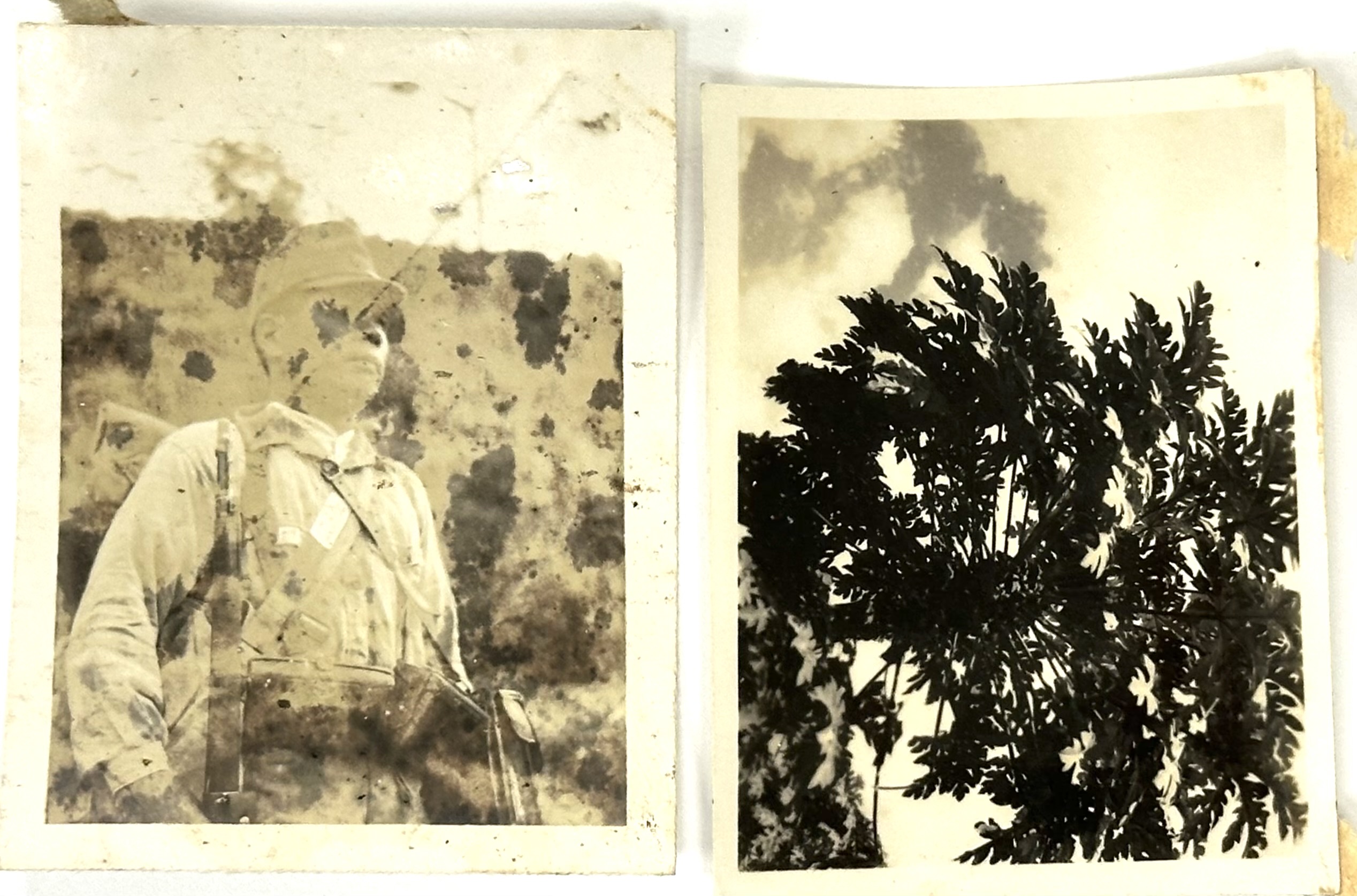 WW2 Japanese Photos 1941 - NCO with Mapcase & Palms