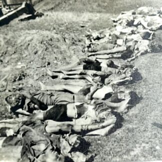Vietnam Photo Dead VC after Attack on Hill 22 1965